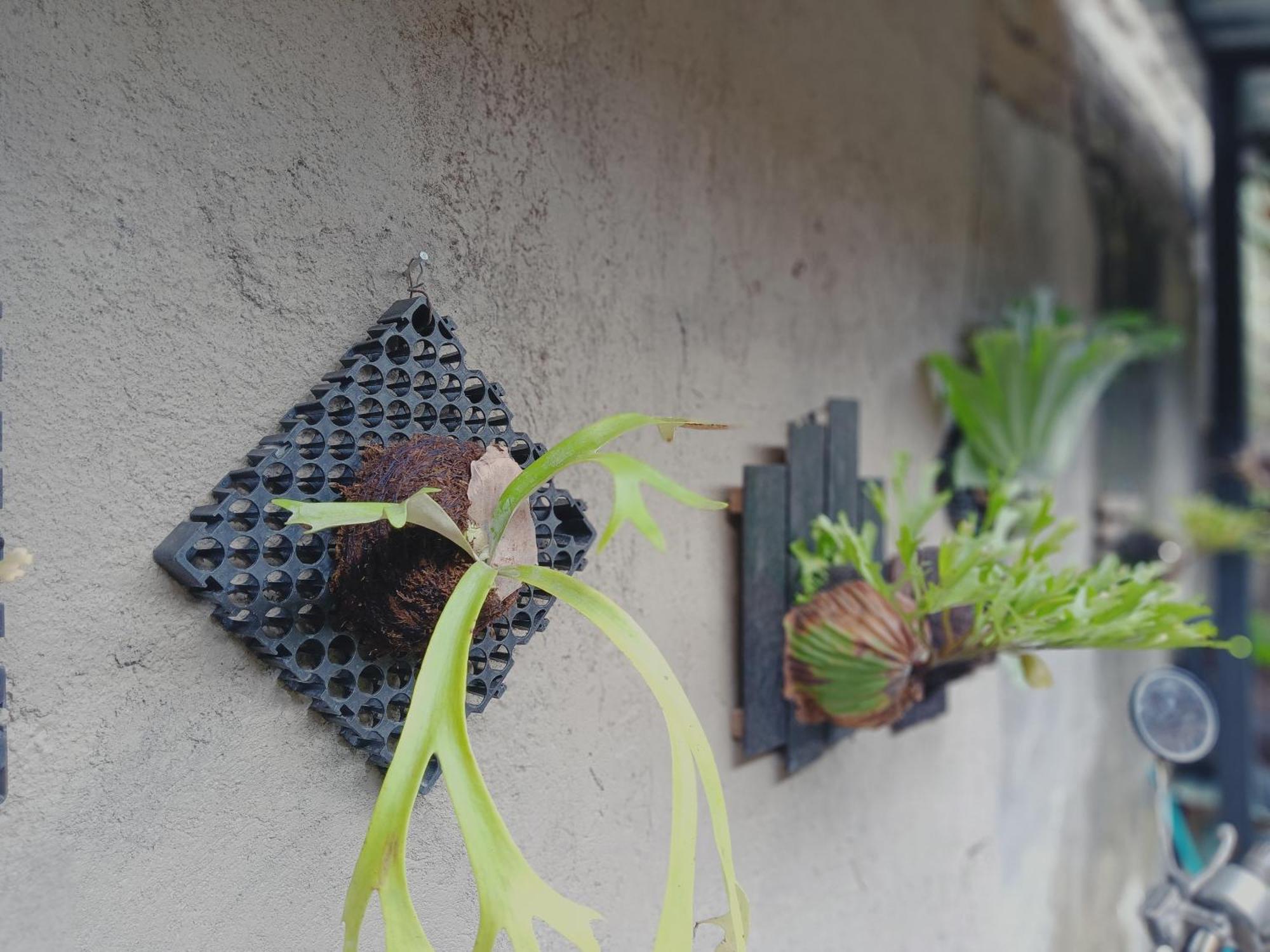 Sudana Homestay Ubud  Exterior photo