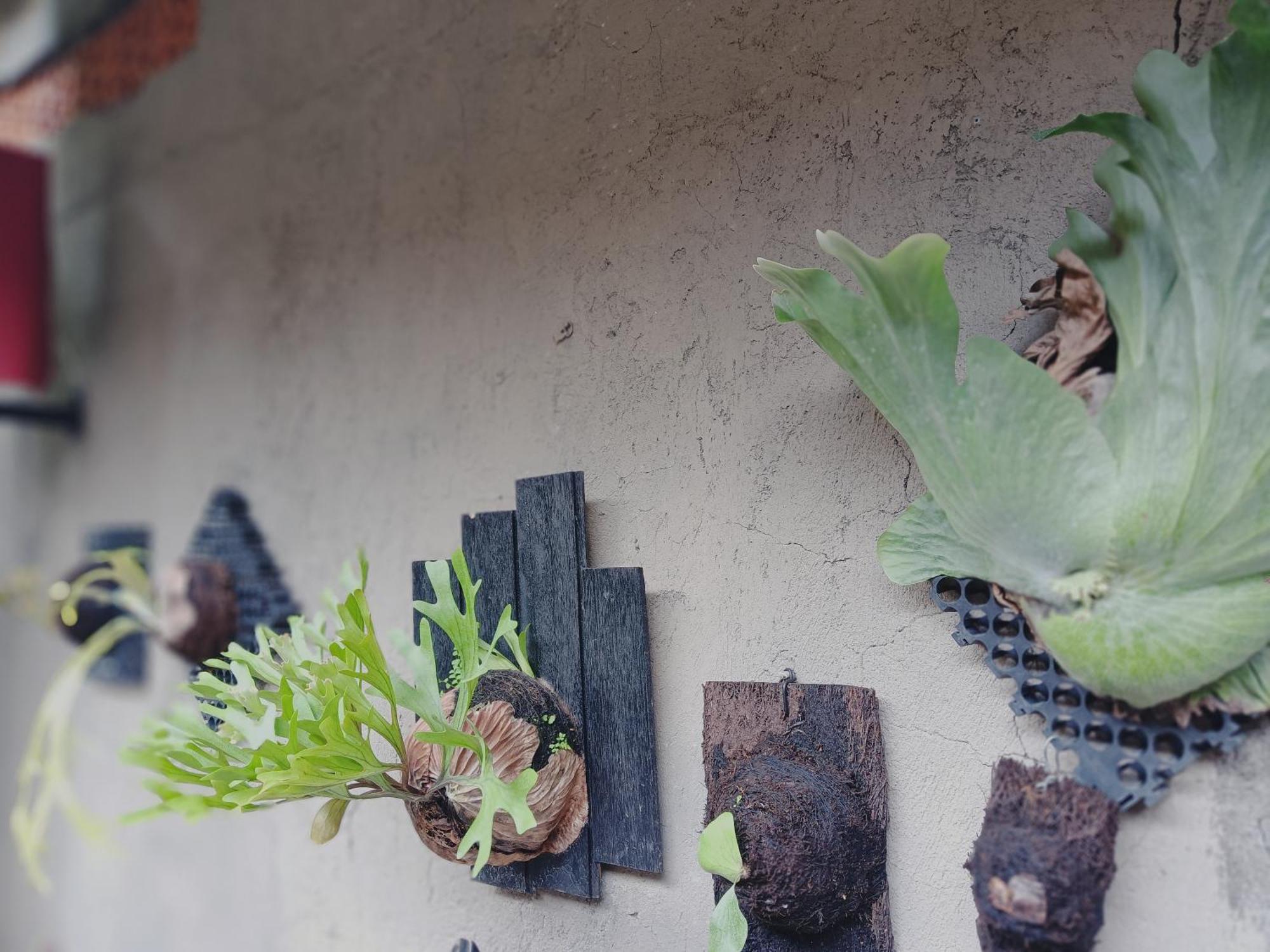 Sudana Homestay Ubud  Exterior photo